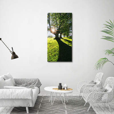 Acrylic glass print Park