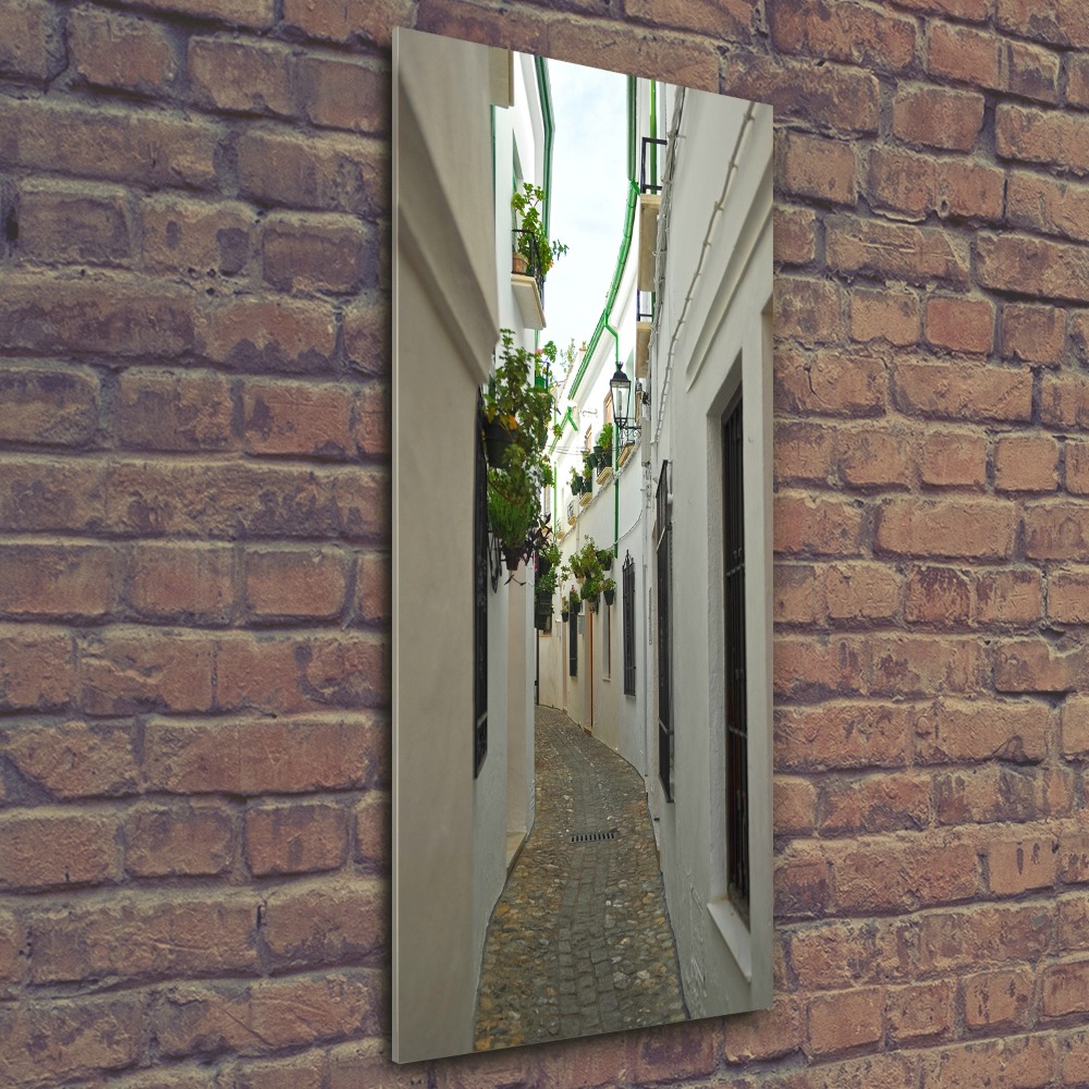 Print on acrylic glass Andalusia streets