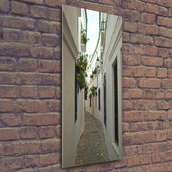 Print on acrylic glass Andalusia streets