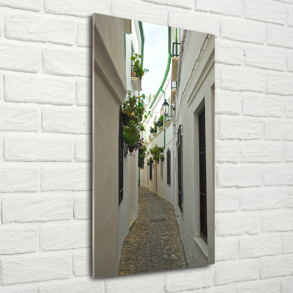 Print on acrylic glass Andalusia streets