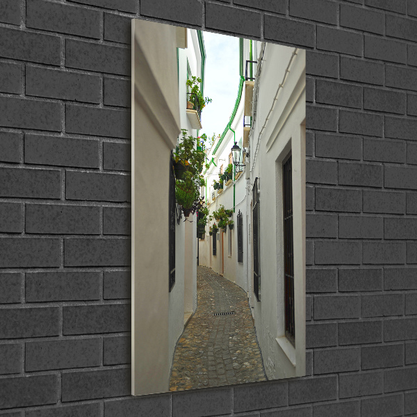 Print on acrylic glass Andalusia streets