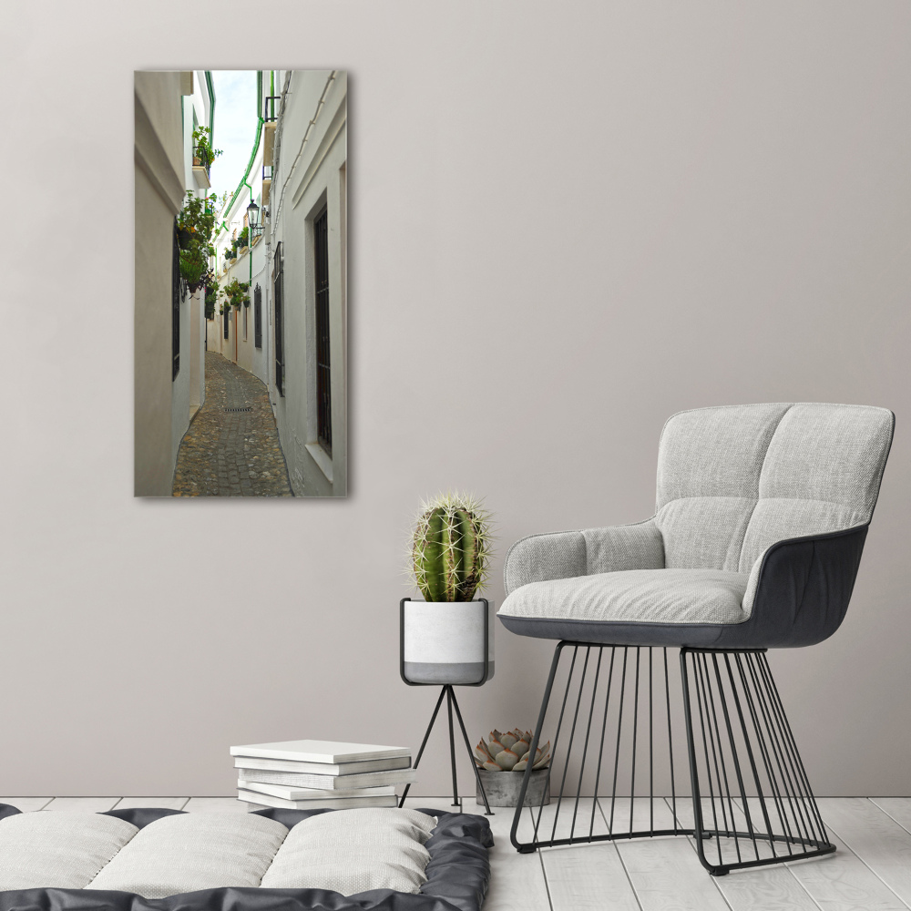 Print on acrylic glass Andalusia streets