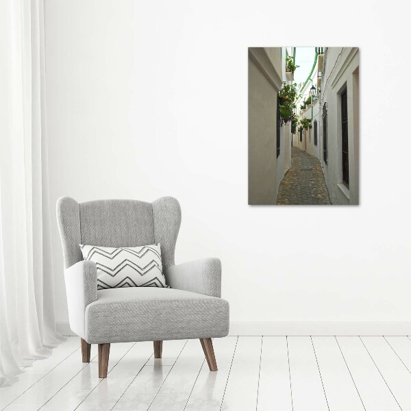 Print on acrylic glass Andalusia streets