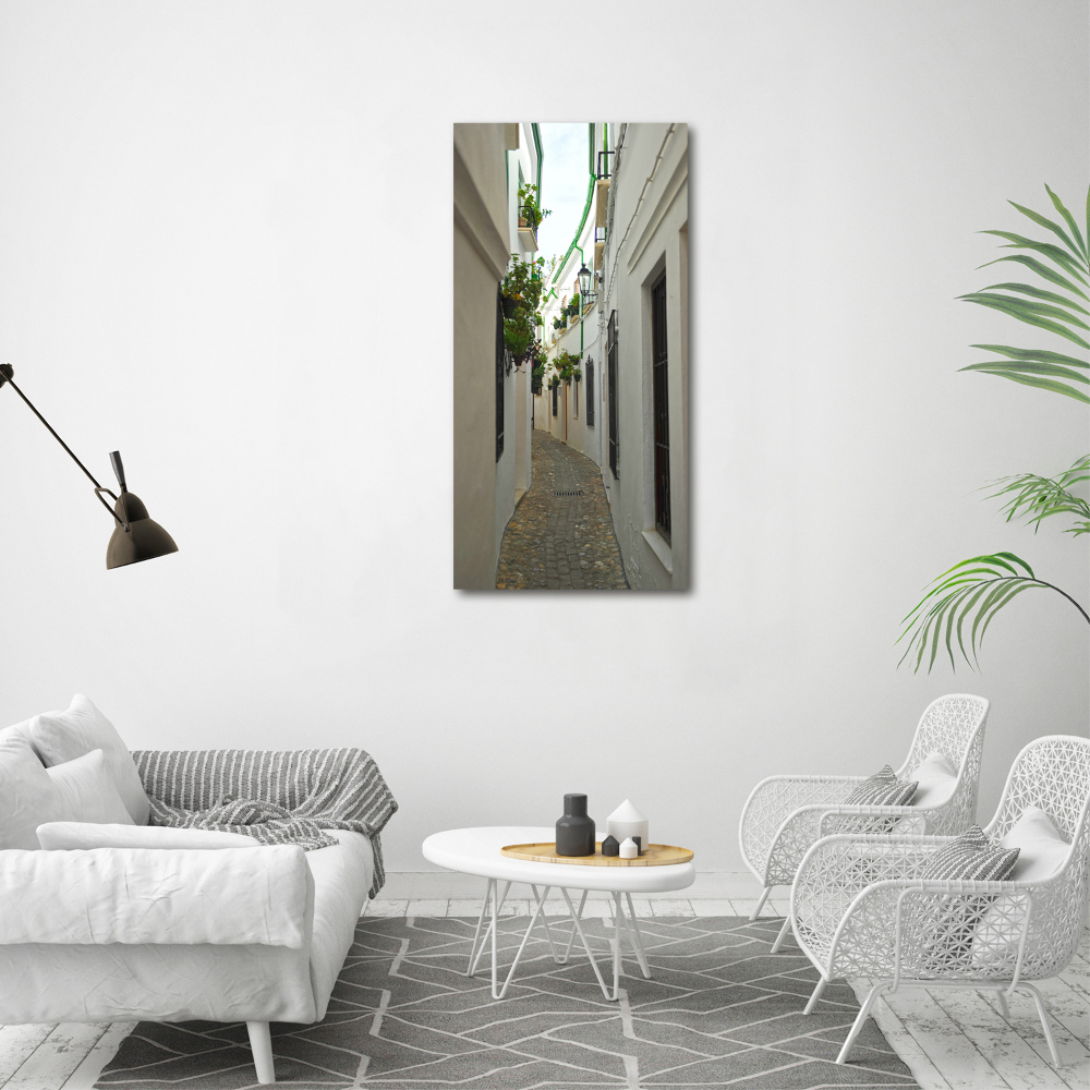 Print on acrylic glass Andalusia streets