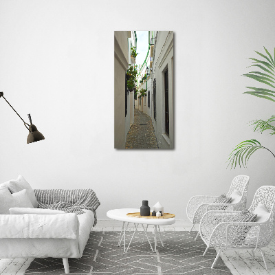 Print on acrylic glass Andalusia streets