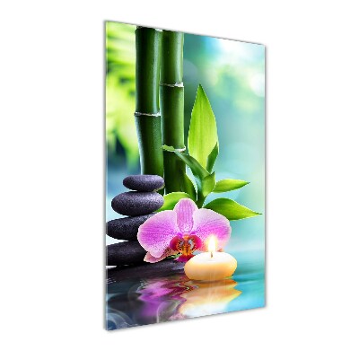 Acrylic print Orchid and bamboo