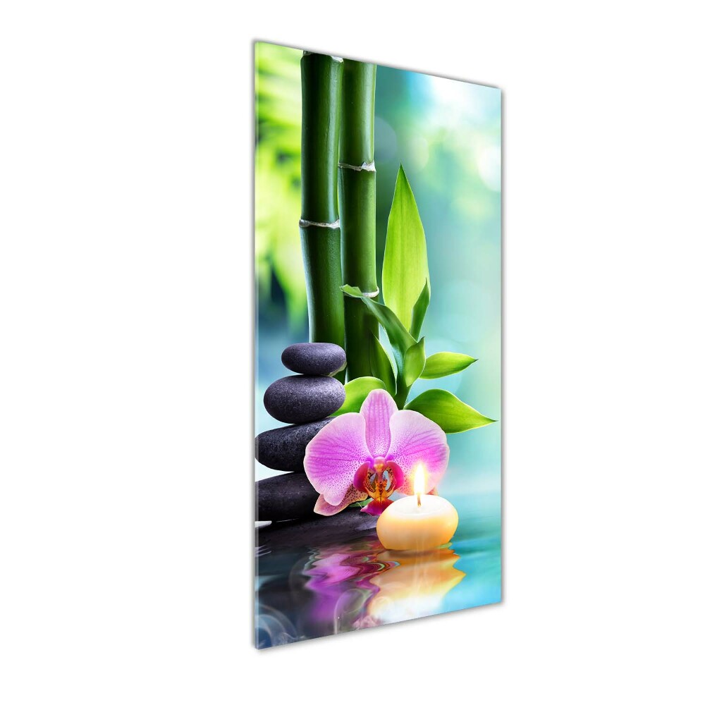 Acrylic print Orchid and bamboo