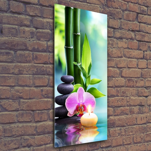 Acrylic print Orchid and bamboo