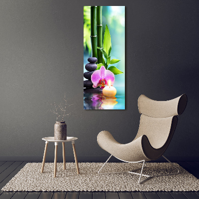 Acrylic print Orchid and bamboo