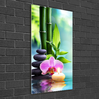 Acrylic print Orchid and bamboo