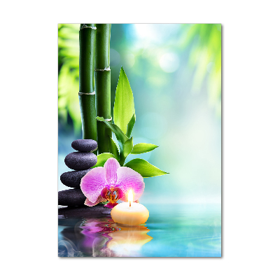 Acrylic print Orchid and bamboo