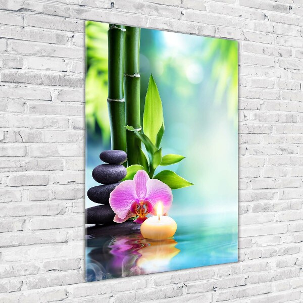 Acrylic print Orchid and bamboo