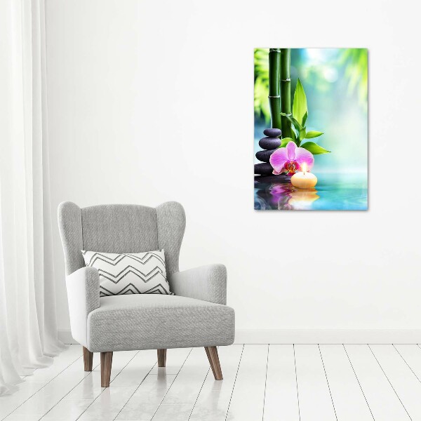 Acrylic print Orchid and bamboo