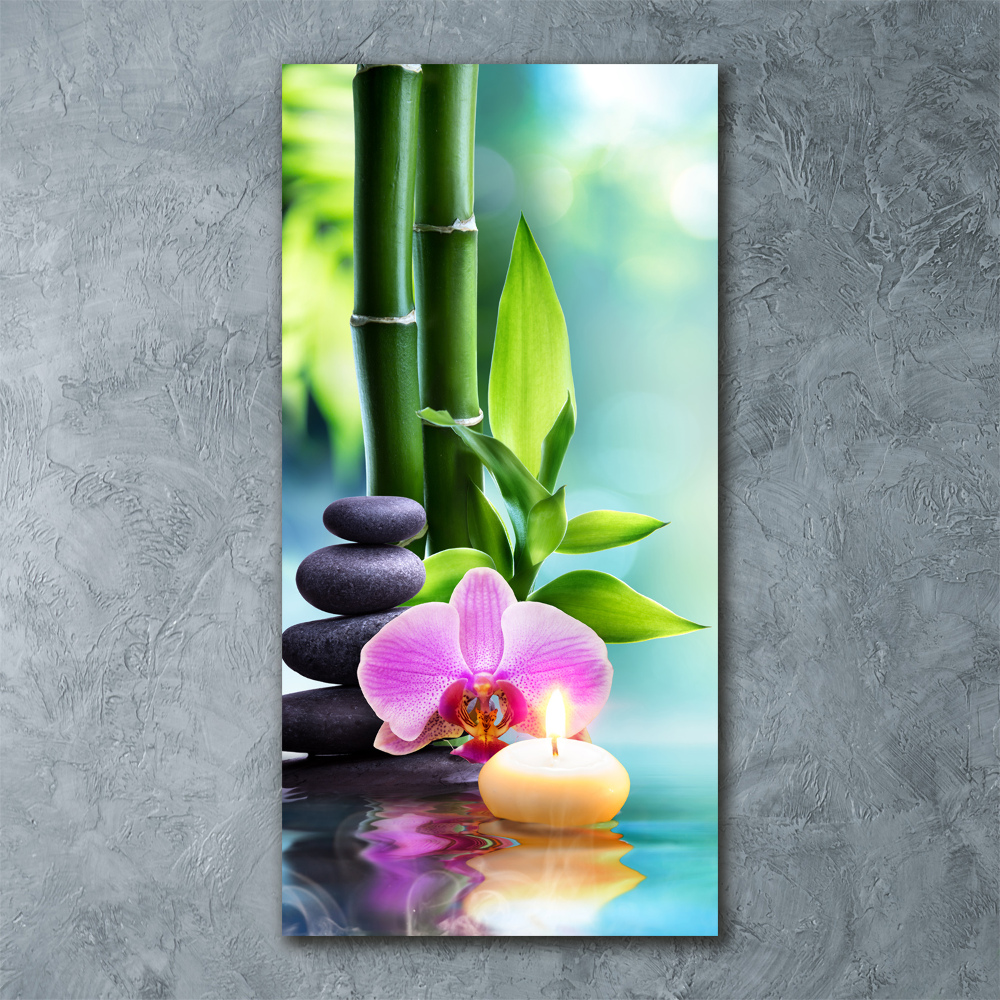 Acrylic print Orchid and bamboo