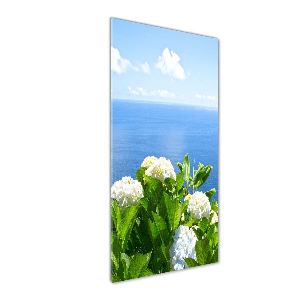 Acrylic glass print Hydrangea sea