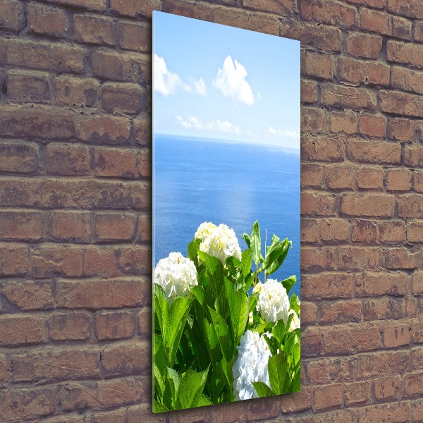 Acrylic glass print Hydrangea sea