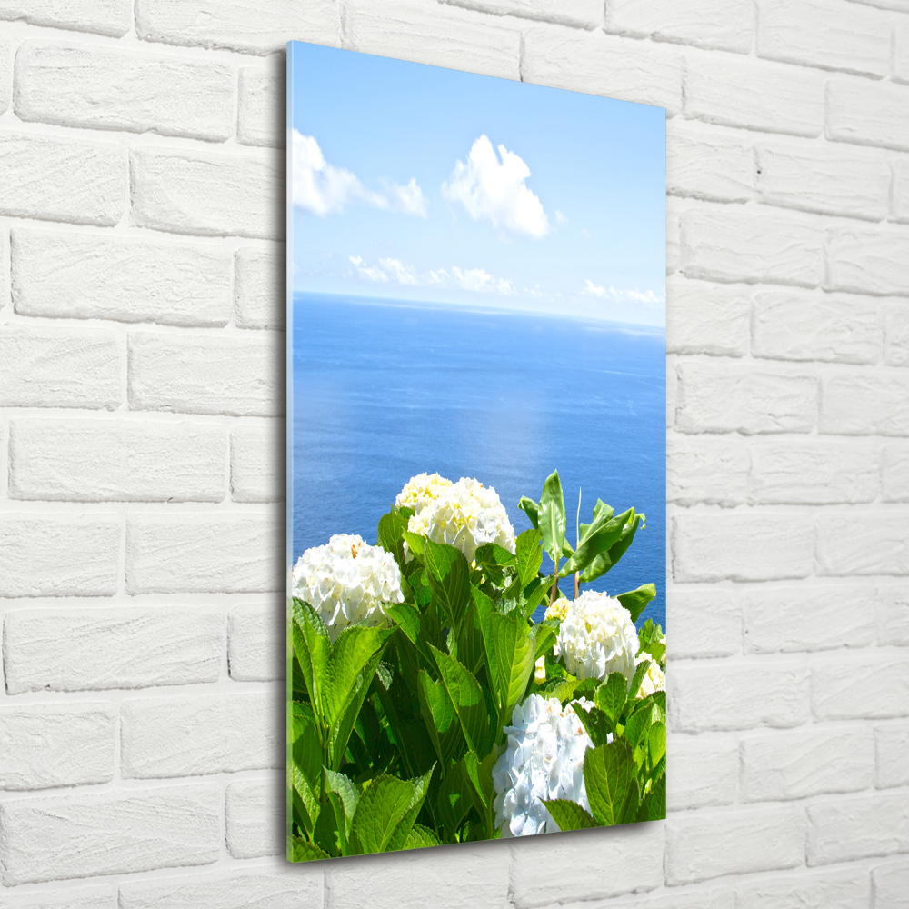 Acrylic glass print Hydrangea sea