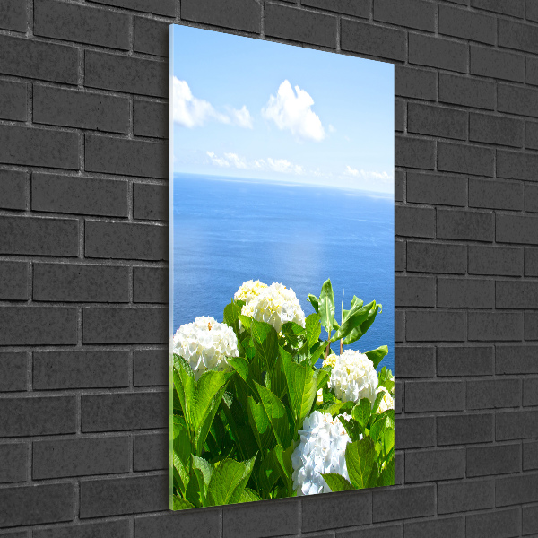 Acrylic glass print Hydrangea sea