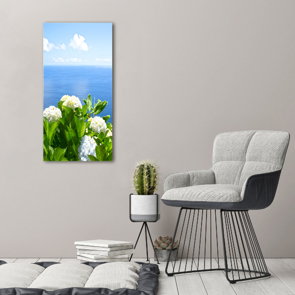 Acrylic glass print Hydrangea sea