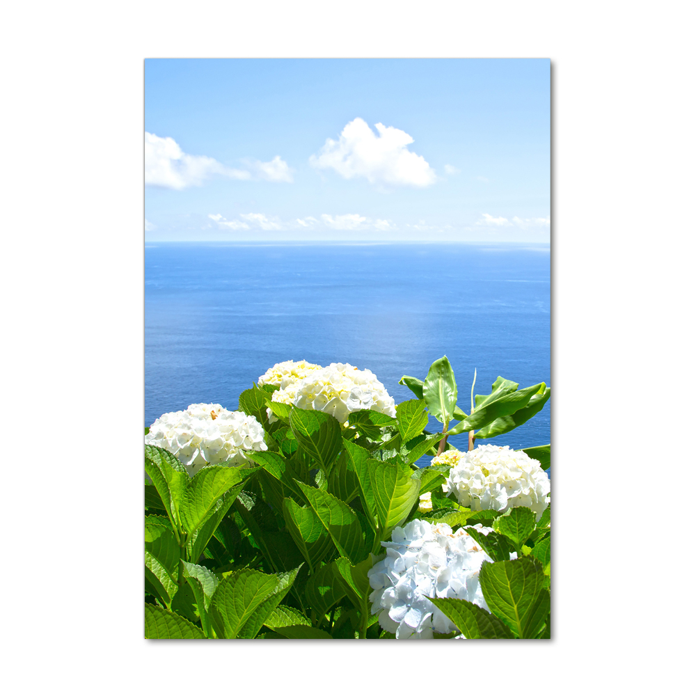 Acrylic glass print Hydrangea sea