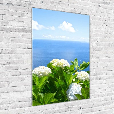 Acrylic glass print Hydrangea sea