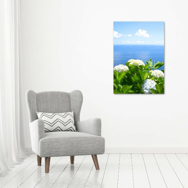 Acrylic glass print Hydrangea sea