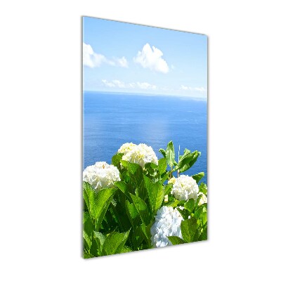 Acrylic glass print Hydrangea sea