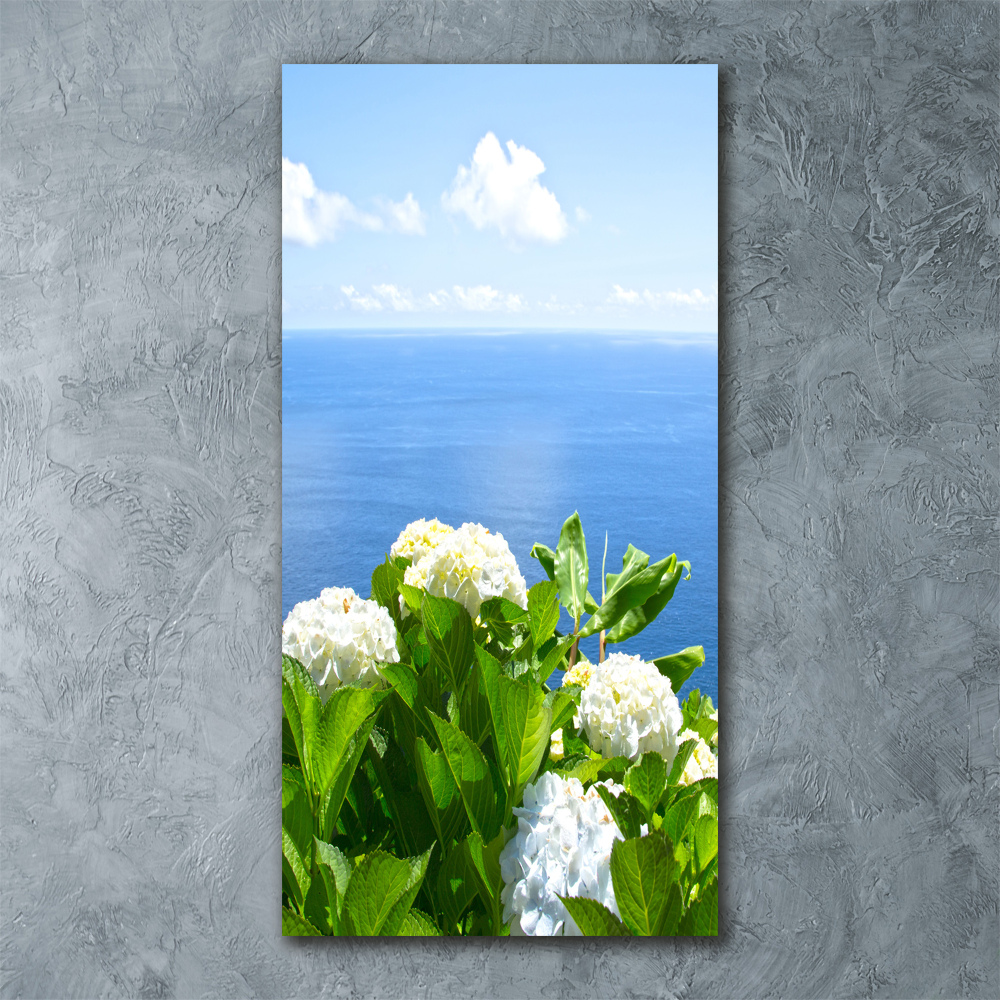 Acrylic glass print Hydrangea sea