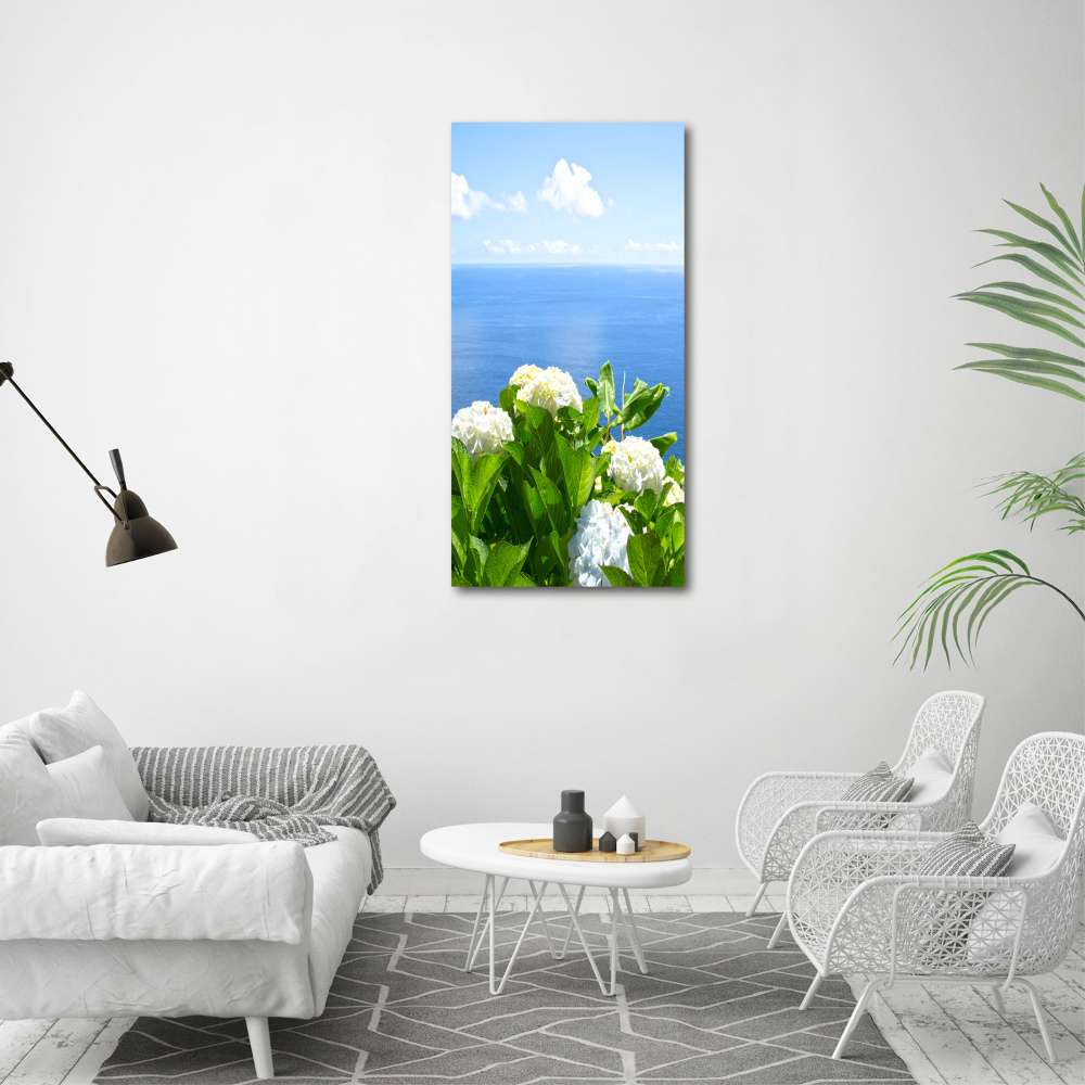 Acrylic glass print Hydrangea sea