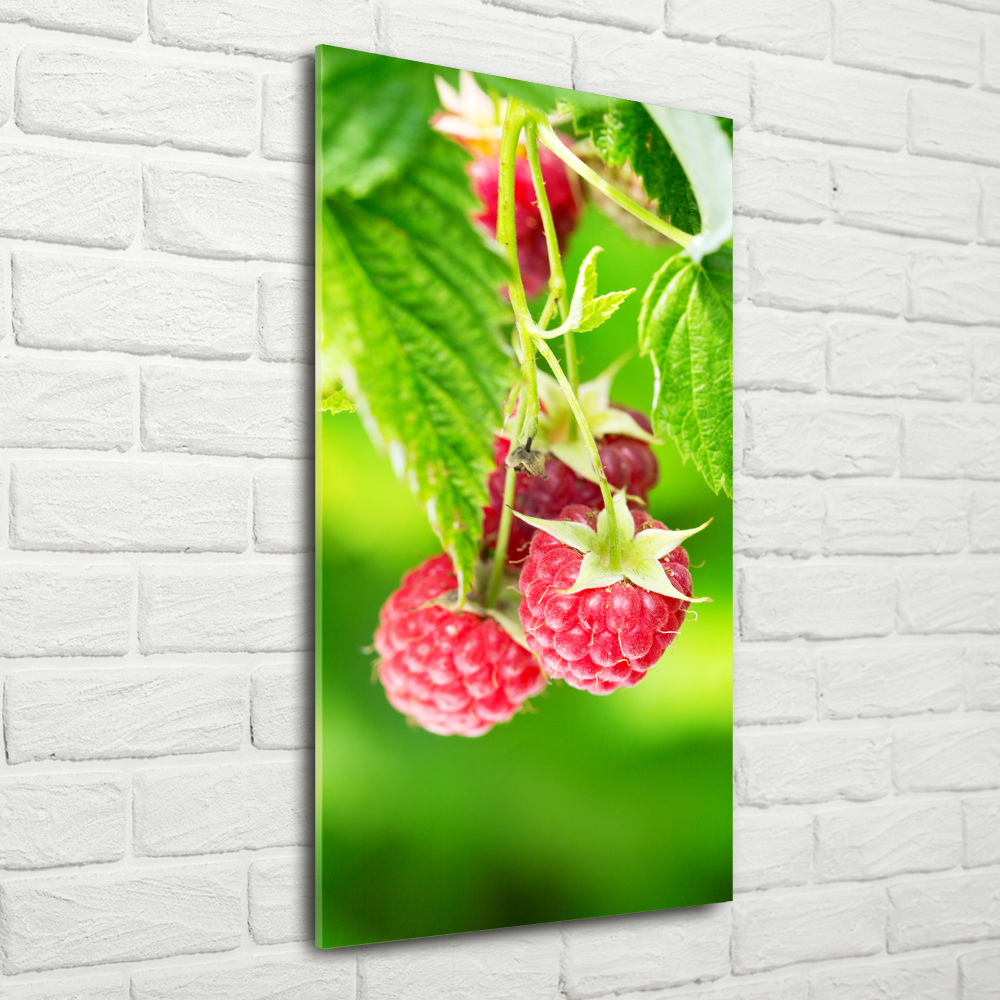 Print on acrylic Raspberries on the bush