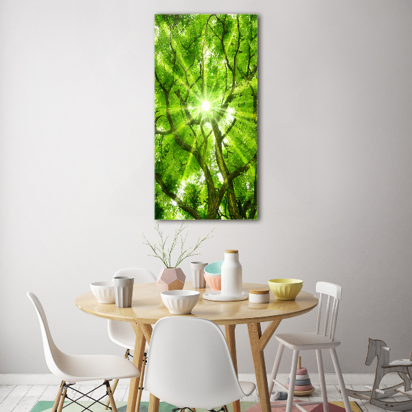 Acrylic print Crown of trees