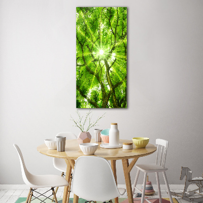 Acrylic print Crown of trees