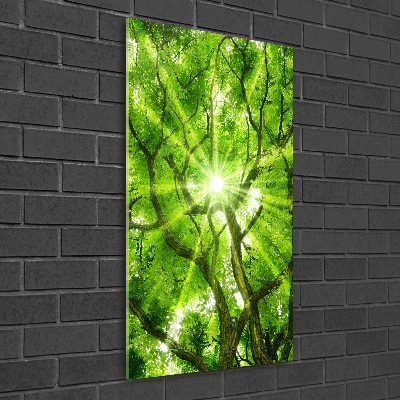 Acrylic print Crown of trees