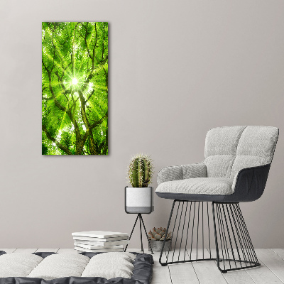 Acrylic print Crown of trees