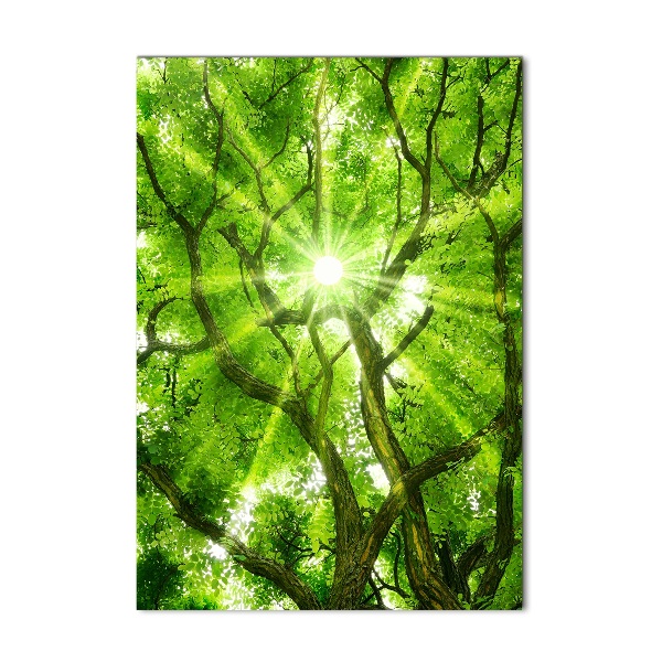 Acrylic print Crown of trees