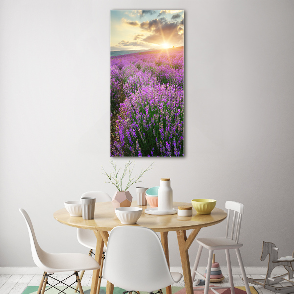 Print on acrylic Lavender field