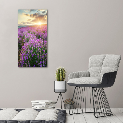 Print on acrylic Lavender field