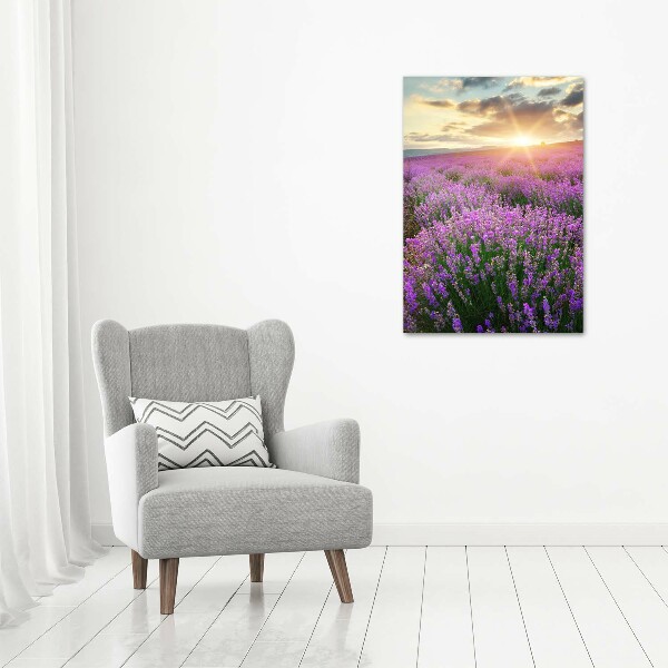 Print on acrylic Lavender field