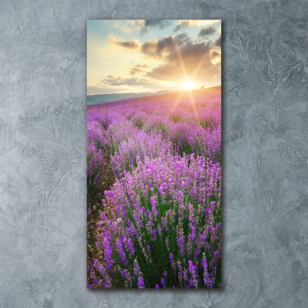 Print on acrylic Lavender field