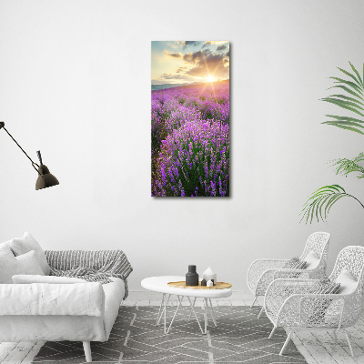 Print on acrylic Lavender field