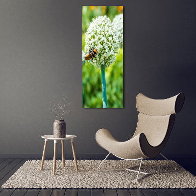 Print on acrylic glass Garlic flowers