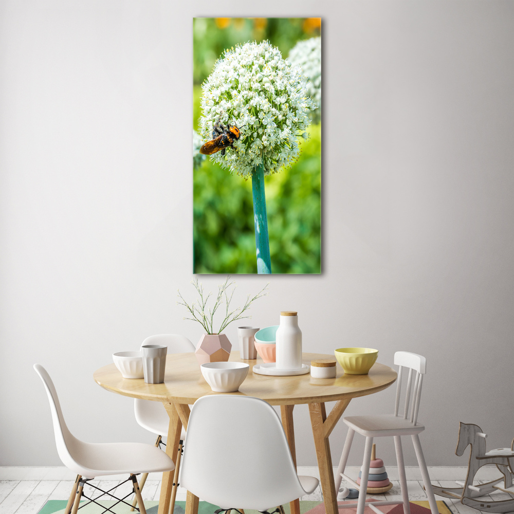 Print on acrylic glass Garlic flowers