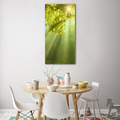 Print on acrylic The sun in the forest