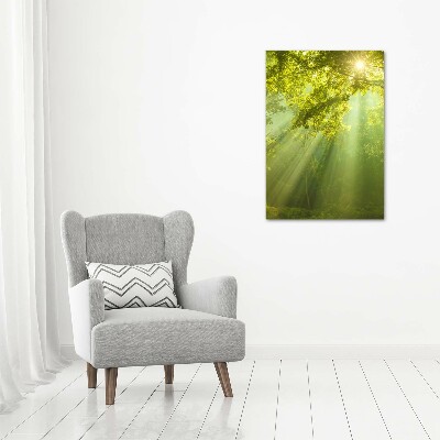 Print on acrylic The sun in the forest