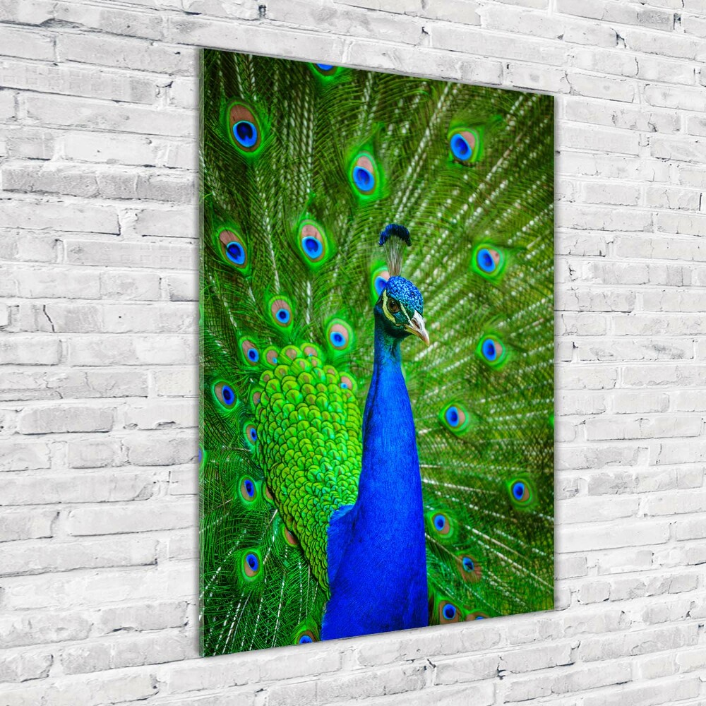 Print on acrylic Peacock