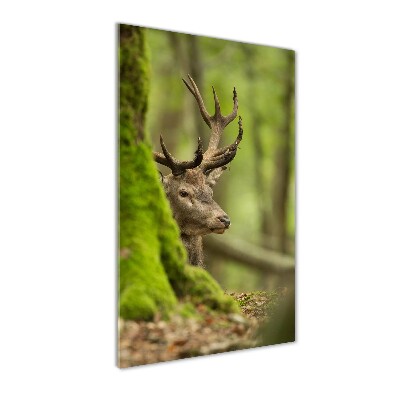 Wall art acrylic Deer