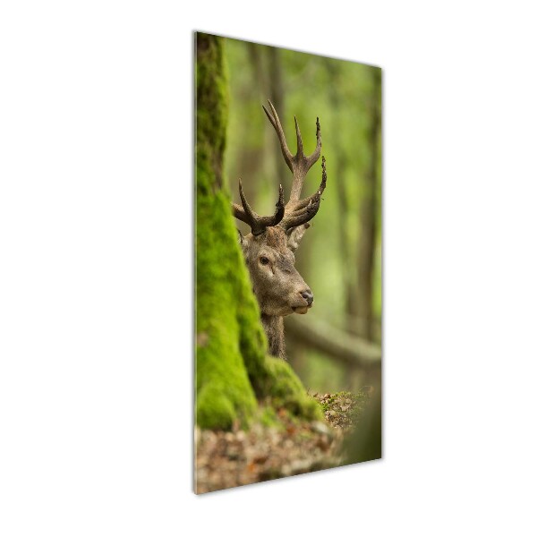 Wall art acrylic Deer