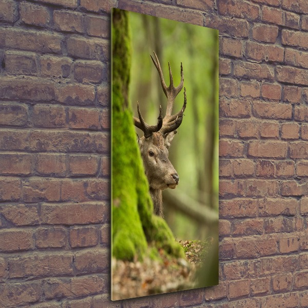 Wall art acrylic Deer