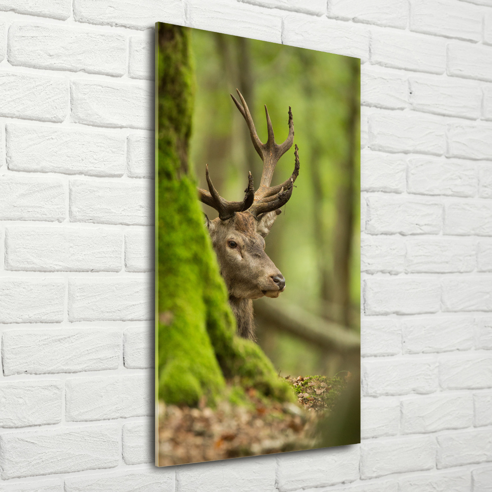 Wall art acrylic Deer