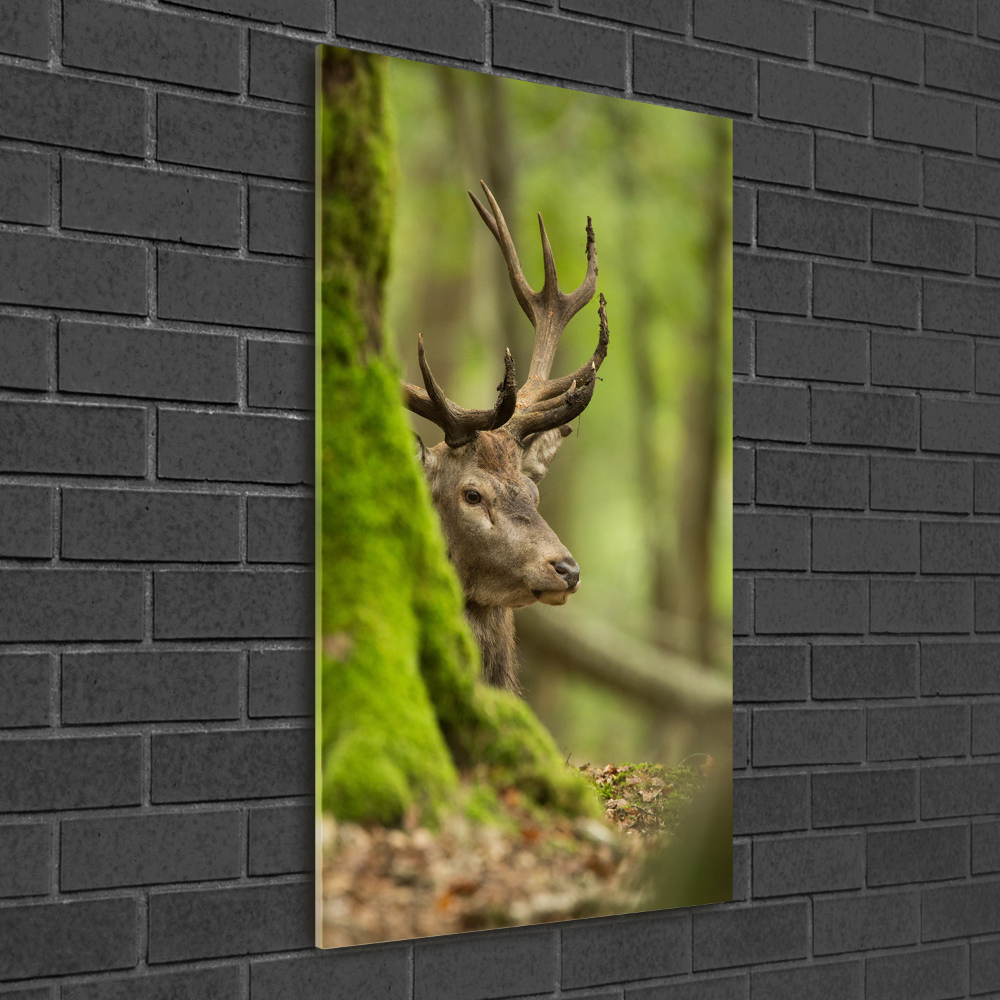 Wall art acrylic Deer